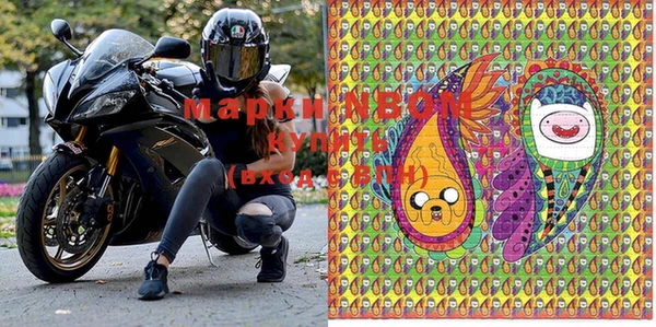 прущие грибы Бронницы