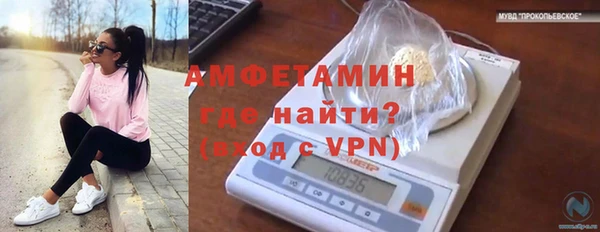 стафф Бородино