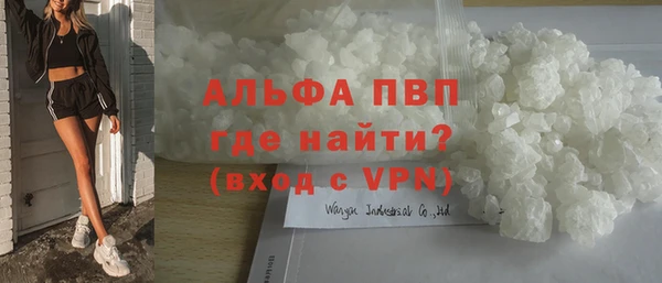 стафф Бородино
