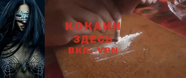 прущие грибы Бронницы