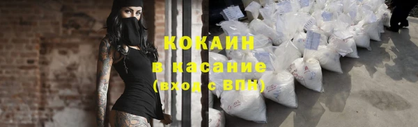 прущие грибы Бронницы