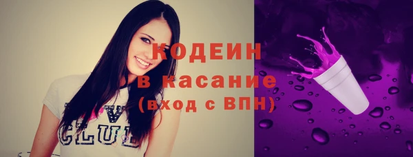 прущие грибы Бронницы