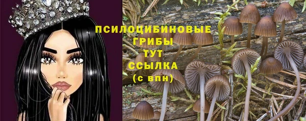 стафф Бородино
