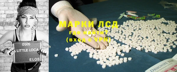 прущие грибы Бронницы