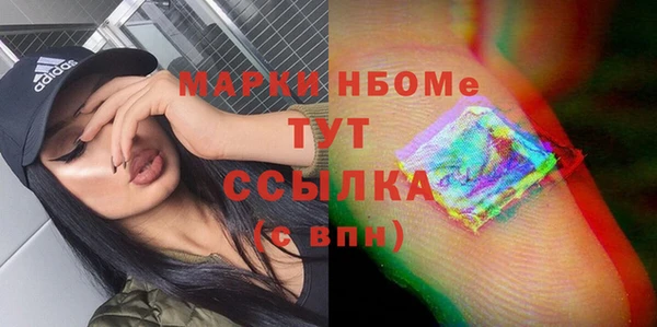 прущие грибы Бронницы