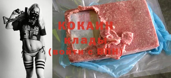 прущие грибы Бронницы