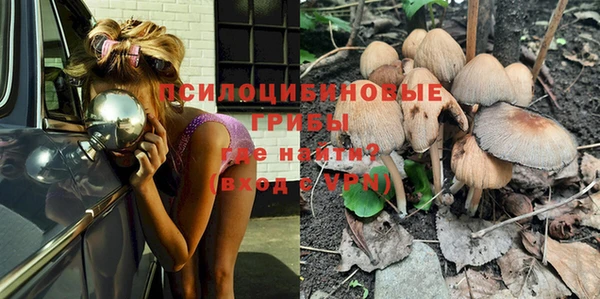 стафф Бородино