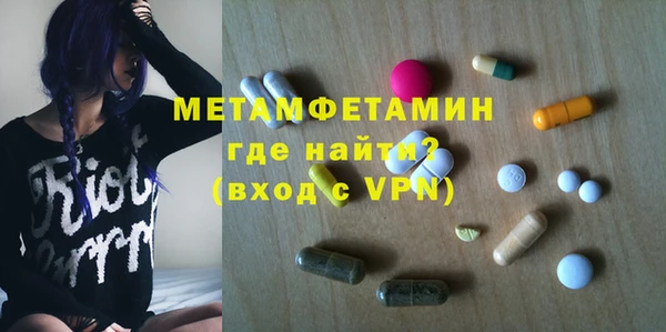 прущие грибы Бронницы