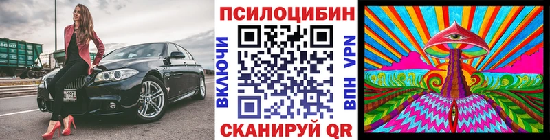Галлюциногенные грибы прущие грибы купить наркотики сайты Высоцк